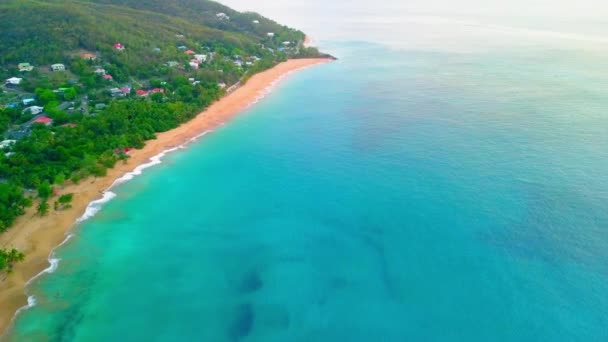 Rekaman Penerbangan Drone Udara Selama Pantai Guadeloupe Plage Perle — Stok Video