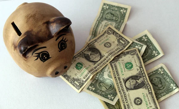 Piggy Bank Some Dollars White Space Stock Photo