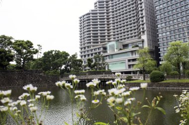 Tokio İstasyonu alanında bir binanın önünde çiçek