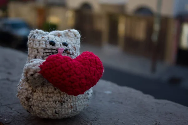 Bir kalp ile örme amigurimi kedi