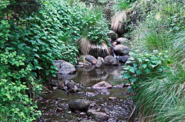 kayalar olsa gidiyor bir nehir