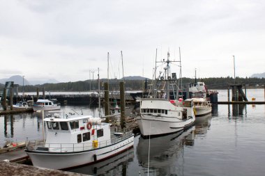 white ships in the docks of ketchikan