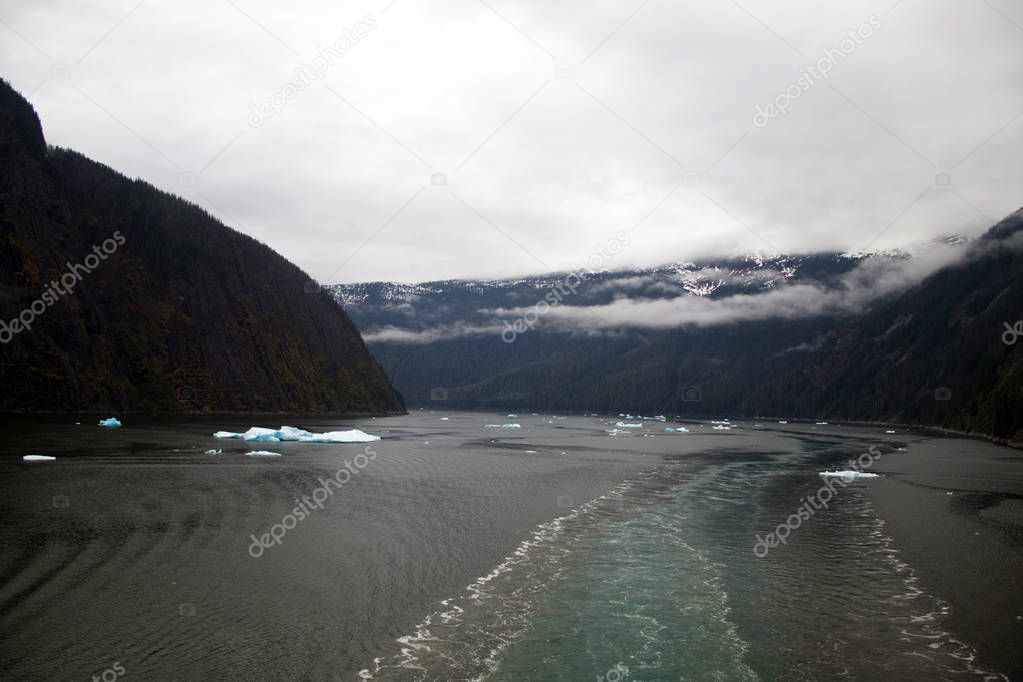 Tracy Arm fjiord ice floating