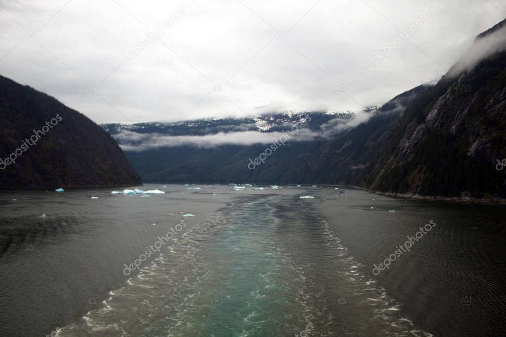 Tracy Arm fjiord ice floating