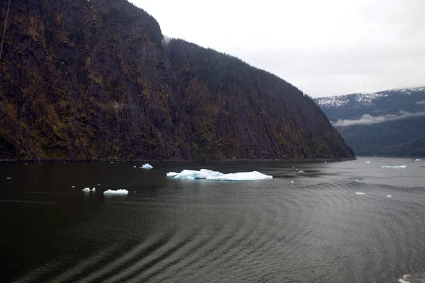 Tracy Kar Fjord Alaszkában Jég Úszó Körül — Stock Fotó