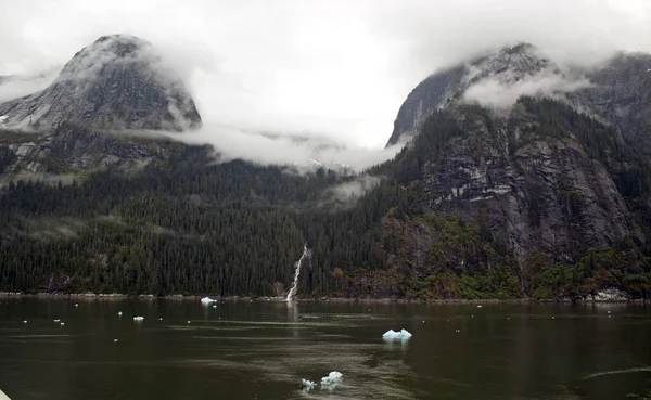 Tracy Arm fjiord glace flottant — Photo