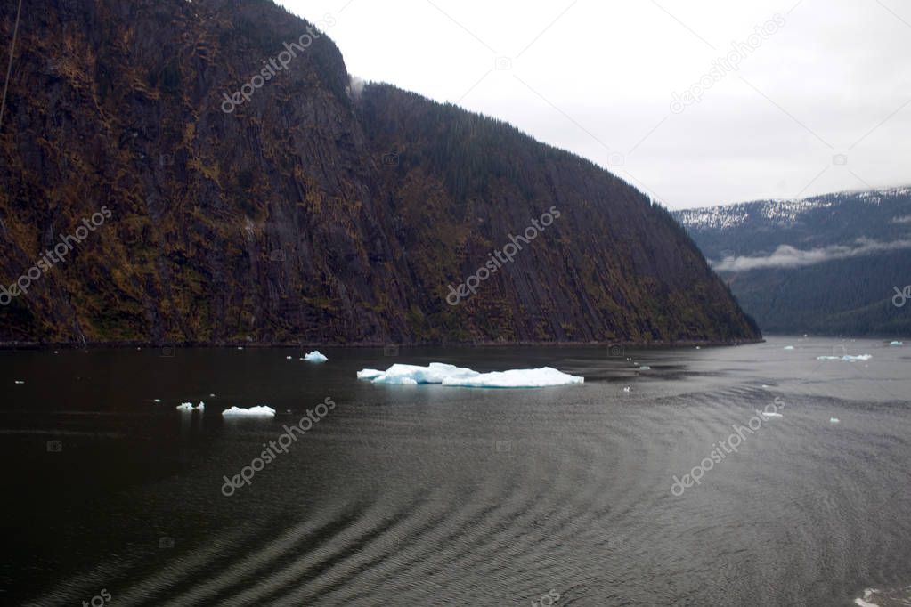 Tracy arm fjord in Alaska with ice floating around
