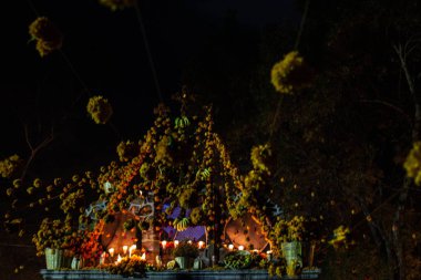 gece ölüm günü cempaschil çiçek ve meyve dekorasyon