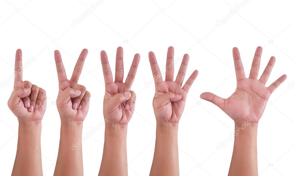 One Two Three Four Five Hand Sign Symbol in White Isolated Background 