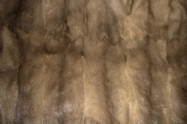 Texture Background Mink Fur — Stock Photo, Image