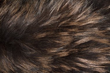 Gümüş tilki kürk kökenli.