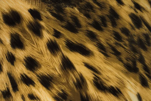 Fragment Retro Clothes Leopard Print — Stock Photo, Image