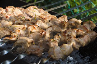 Doğada pişirme eti ile ızgara.