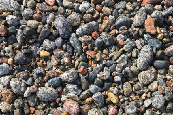 Background Texture Wet Coastal Pebbles — Stock Photo, Image