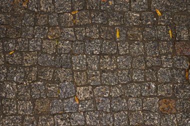 Akşamları ıslak sonbahar kaldırımı