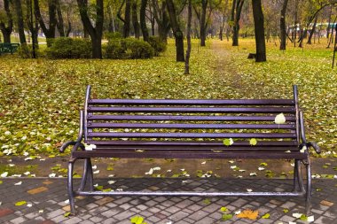 Sonbahar parkında boş bir bank duruyor..