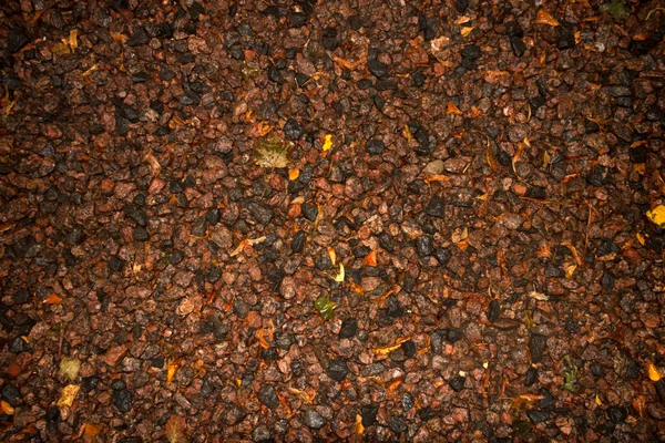 雨后的湿砾石秋天小径 — 图库照片