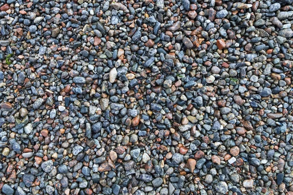 Background Texture Small Coastal Pebbles — Stock Photo, Image