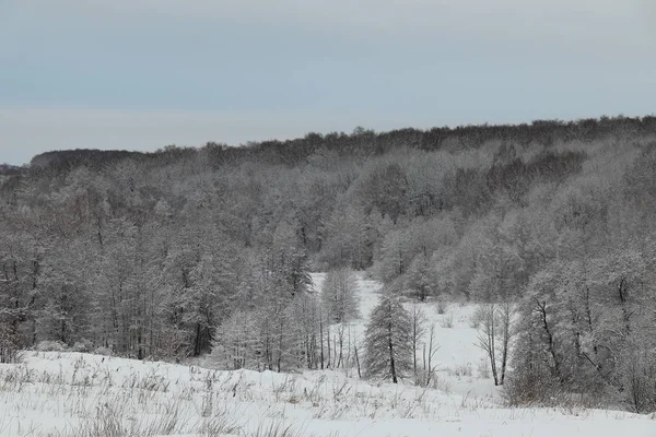Güzel kış manzarası. Nehir buz tarafından zincirleme ve karla kaplı. Soğuk gri kış gökyüzünde mavi Lümen karşı kış orman kenarı.