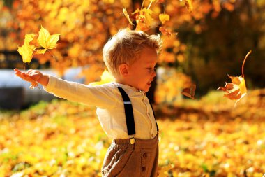 Küçük şirin çocuk Sonbahar Park yürüyüş