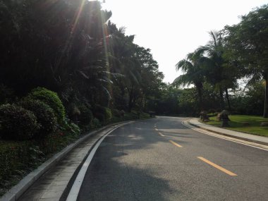 Çin hainan Adası ormanda güzel giden yol