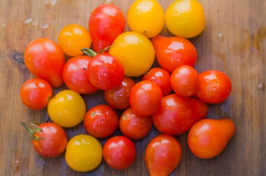 Ormanın içinde rota seyahat backpacker