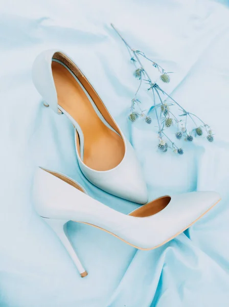 Beautiful Blue High Heel Shoes Flat Lay Top View Blue — Stock Photo, Image