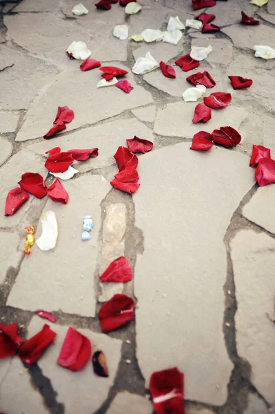 Red rose petals on the grey floor. Happy birthday party. Romantic valentine day.