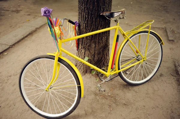 Bicicleta Vintage Amarela Está Pátio Perto Uma Árvore — Fotografia de Stock