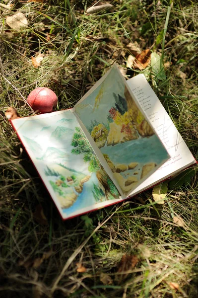 Otwarta Książka Malarstwem Zielonej Trawie — Zdjęcie stockowe
