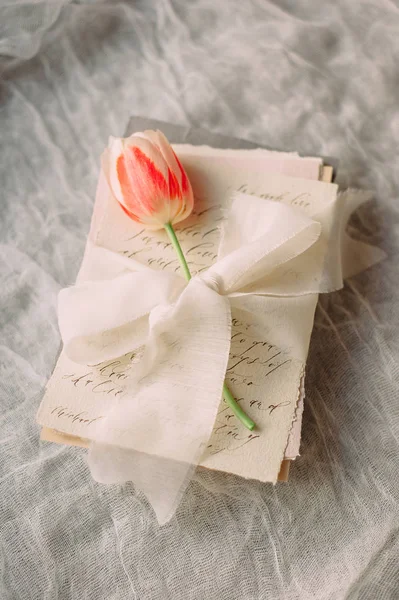 Carte Invitation Pour Inscription Avec Une Belle Fleur Été — Photo