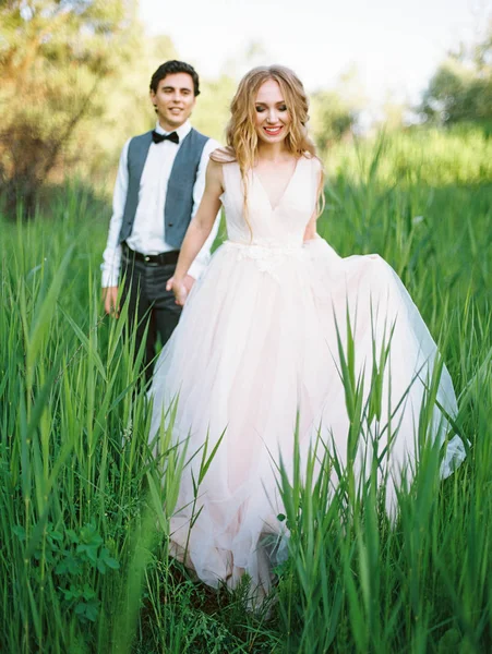 Outdoor Portrait Happy Beautiful Newlyweds Walking Green Lawn — Stock Photo, Image