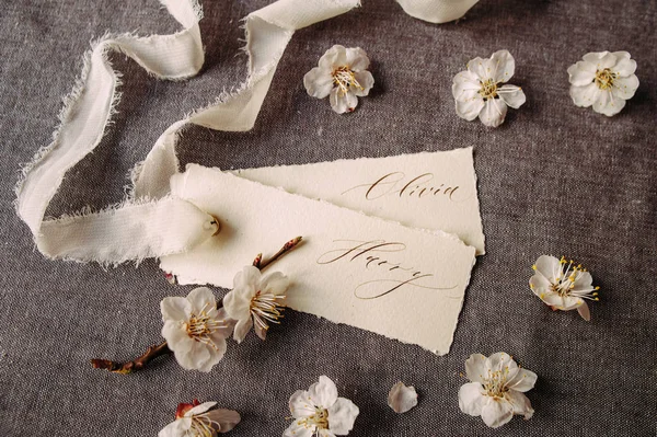 Carte Invitation Pour Inscription Avec Des Fleurs Printemps Fleur Pomme — Photo