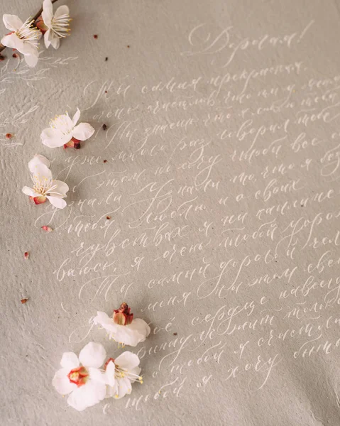 Einladungskarte Für Die Inschrift Mit Frühlingsblumen Apfelblüte — Stockfoto