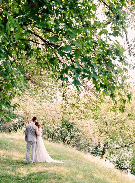 Retrato Aire Libre Felices Hermosos Recién Casados Caminando Césped Verde — Foto de Stock