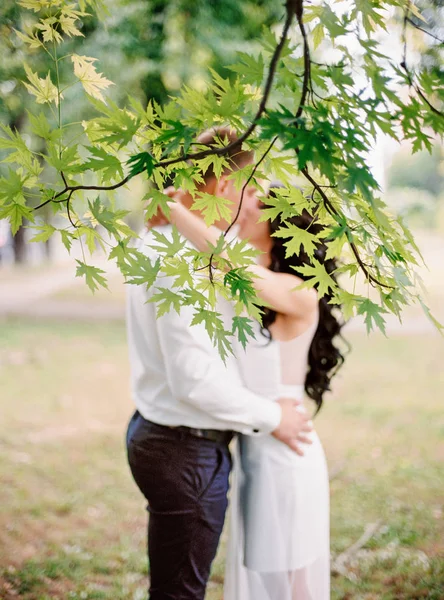 幸せな花嫁と新郎は公園でキス — ストック写真