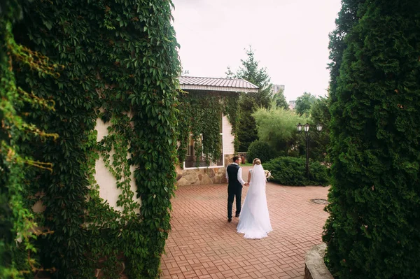 Noiva Bonita Noivo Cerimônia Casamento — Fotografia de Stock