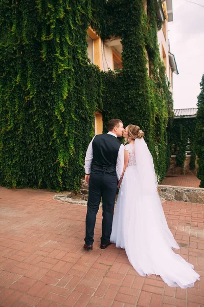 Noiva Bonita Noivo Cerimônia Casamento — Fotografia de Stock