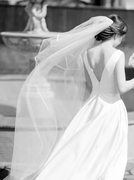 Bride Bär Vit Brudklänning Med Elegant Slöja Svart Och Vitt — Stockfoto