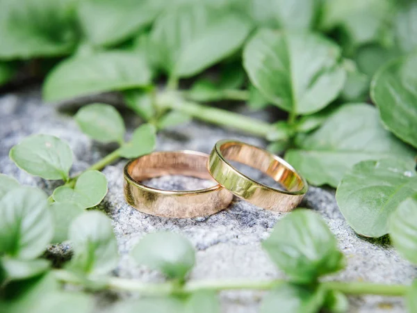 Wedding Rings Stone Surface Fresh Greenery Summer Wedding Ceremony Concept — Stock Photo, Image