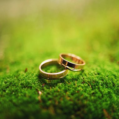 Yeşil çimlerde altın alyanslar, sonsuz aşk konsepti. Yaklaş, makro.