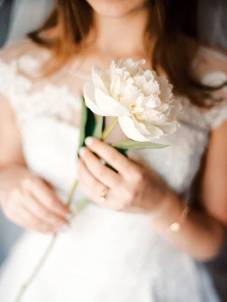 Young Bride White Lace Wedding Dress Holding Big White Peony — Stock Photo, Image