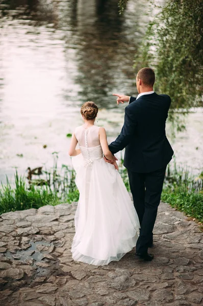 婚礼理念 新娘和新郎手牵手 看着河流 — 图库照片