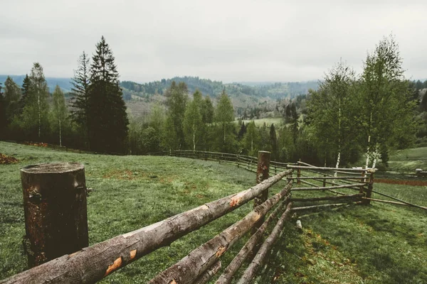 Krajobraz górski z jodły i ogrodzenia drewniane — Zdjęcie stockowe