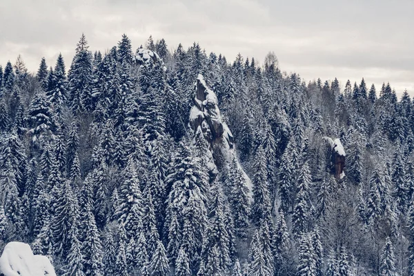 Montañas árboles cubiertos de nieve.Los árboles son frozen.For fondo — Foto de Stock