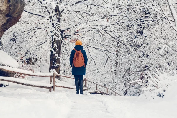 Una joven está dando un paseo por un bosque espeso durante un hermoso día de invierno. — Foto de Stock