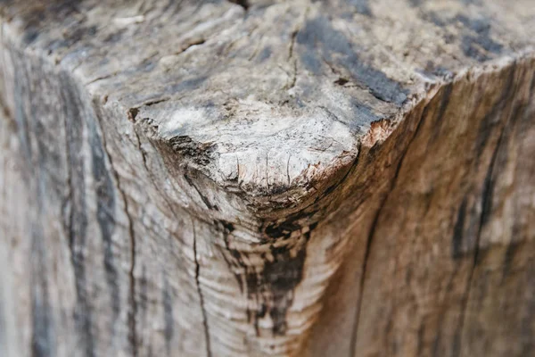 Une vue rapprochée d'un vieux tronc d'arbre. Lignes et motifs visibles — Photo
