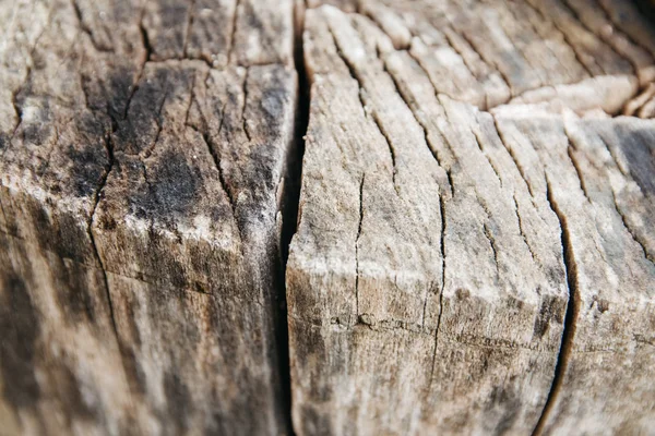Une vue rapprochée d'un vieux tronc d'arbre. Lignes et motifs visibles — Photo