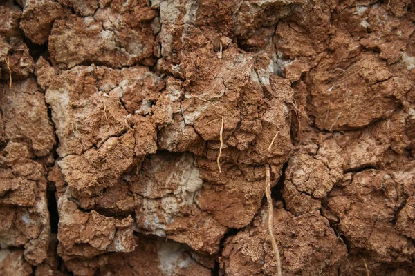 Cracked soil ground. Cracked soil texture or background. Natural abstraction. Ground background. Cracks on the ground — Stock Photo, Image