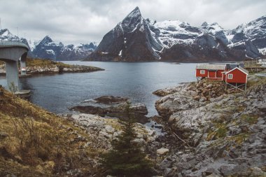Norveç evleri ve dağları fiyort üzerindeki kayalar İskandinav seyahat manzarası Lofoten adaları